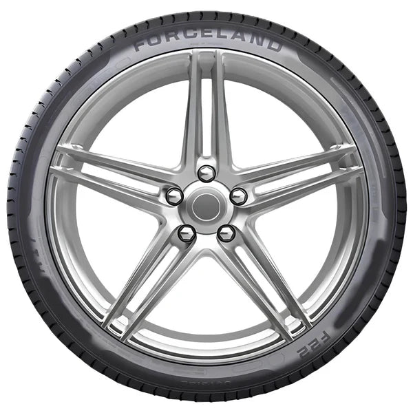 Pneu 205/55R17 Forceland Vitality F22 95W